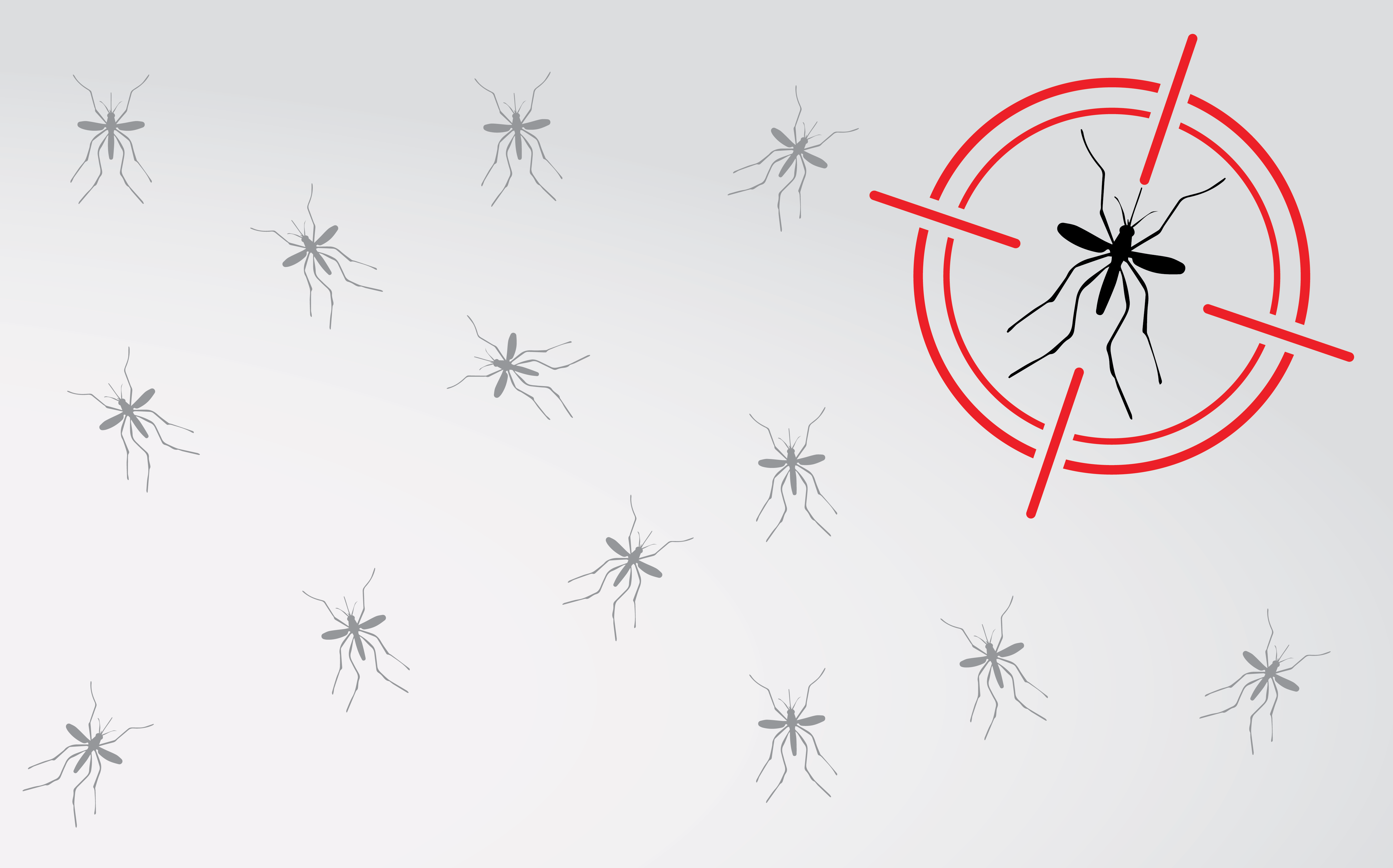 Como fazer a limpeza prevenindo o Aedes Aegypti