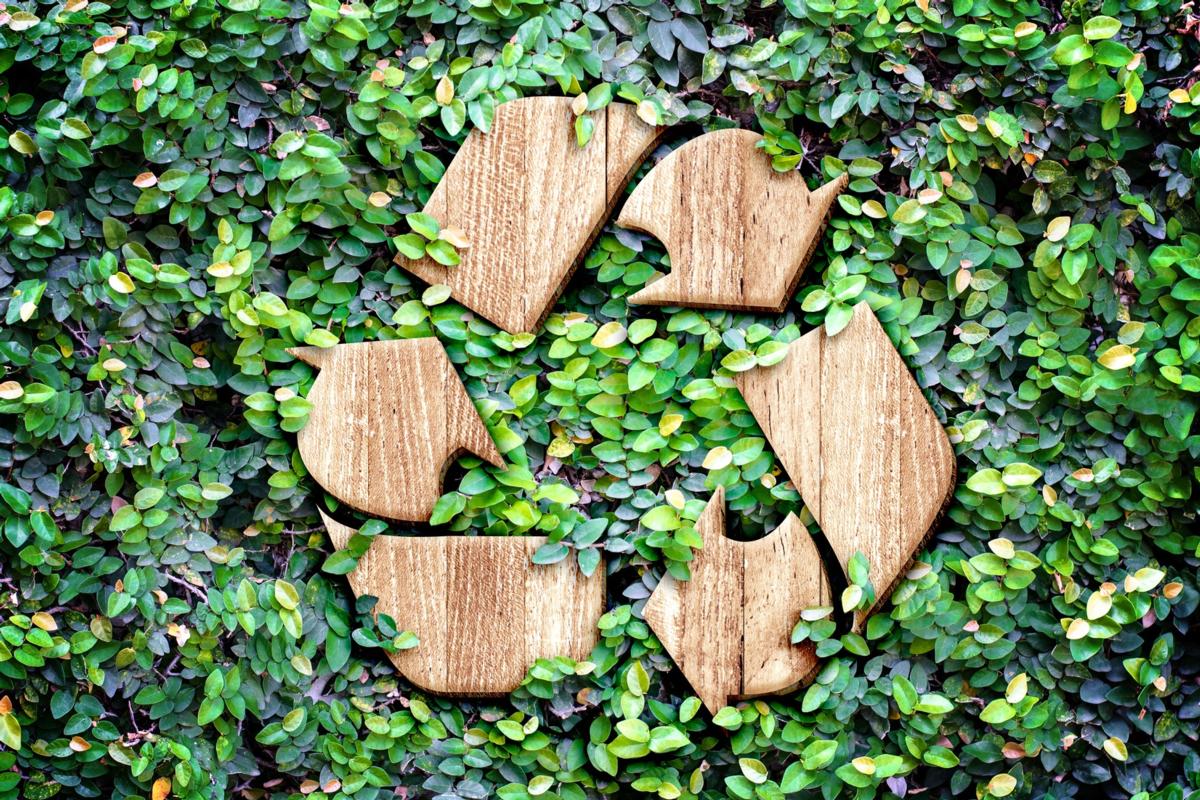 Reciclagem: práticas simples que fazem muita diferença